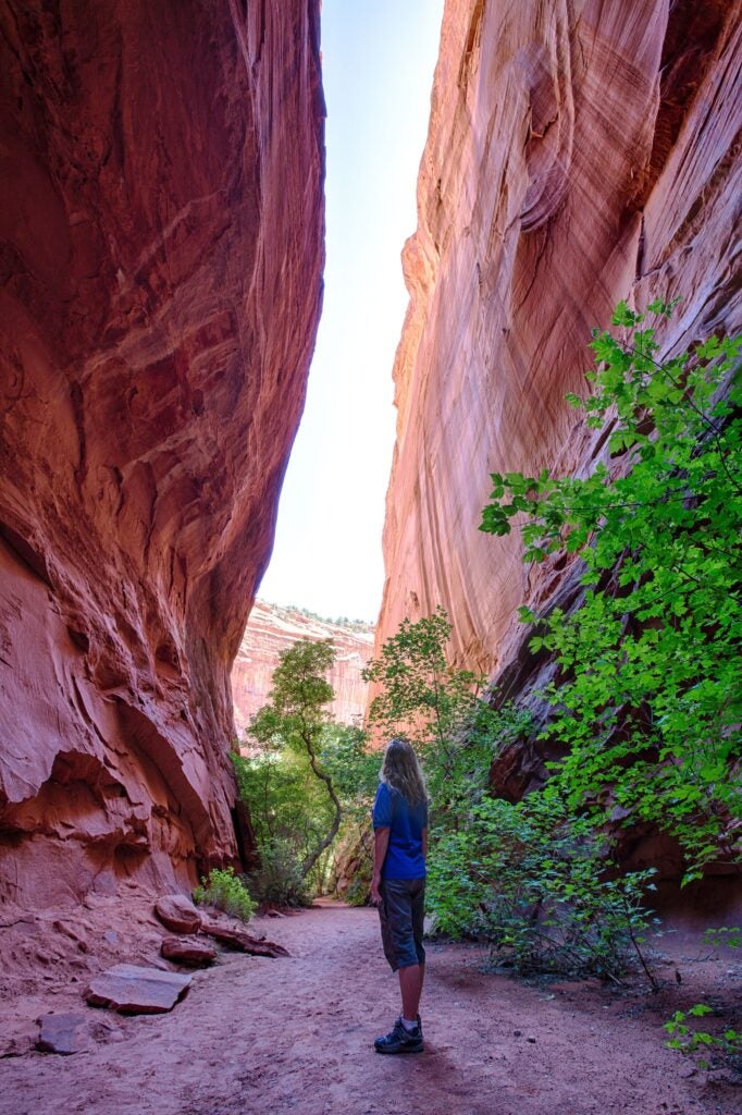 The vast and austere landscape of the Grand Staircase-Escalante National Monument offers a spectacular array of scientific and historic resources. (Bob Wick / BLM)