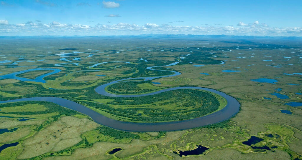 An aerial photo of winding rivers surrounded by lakes in a flat green landscape with mountains the far distance.