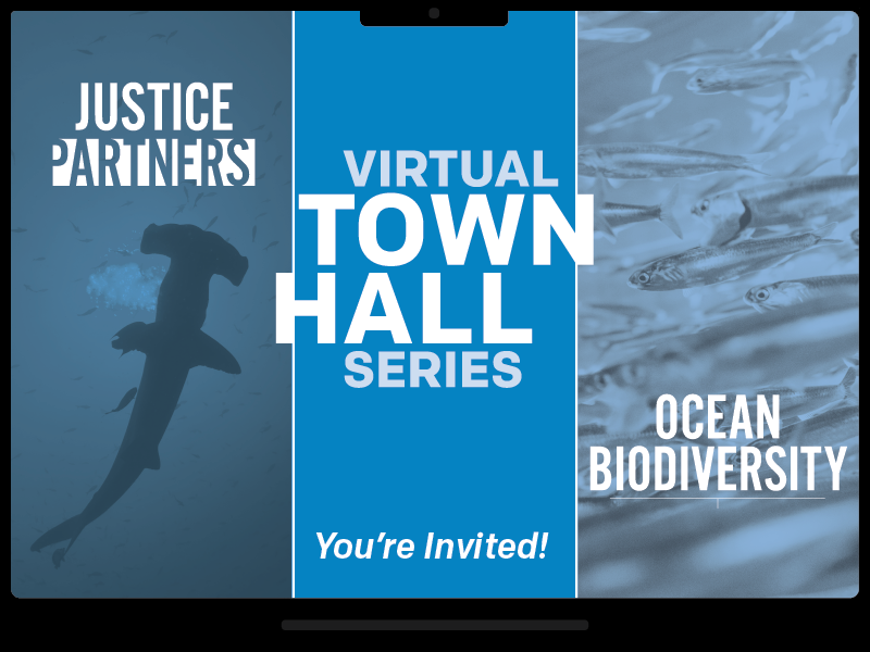 You're invited to an Earthjustice's Town Hall on Ocean Biodiversity