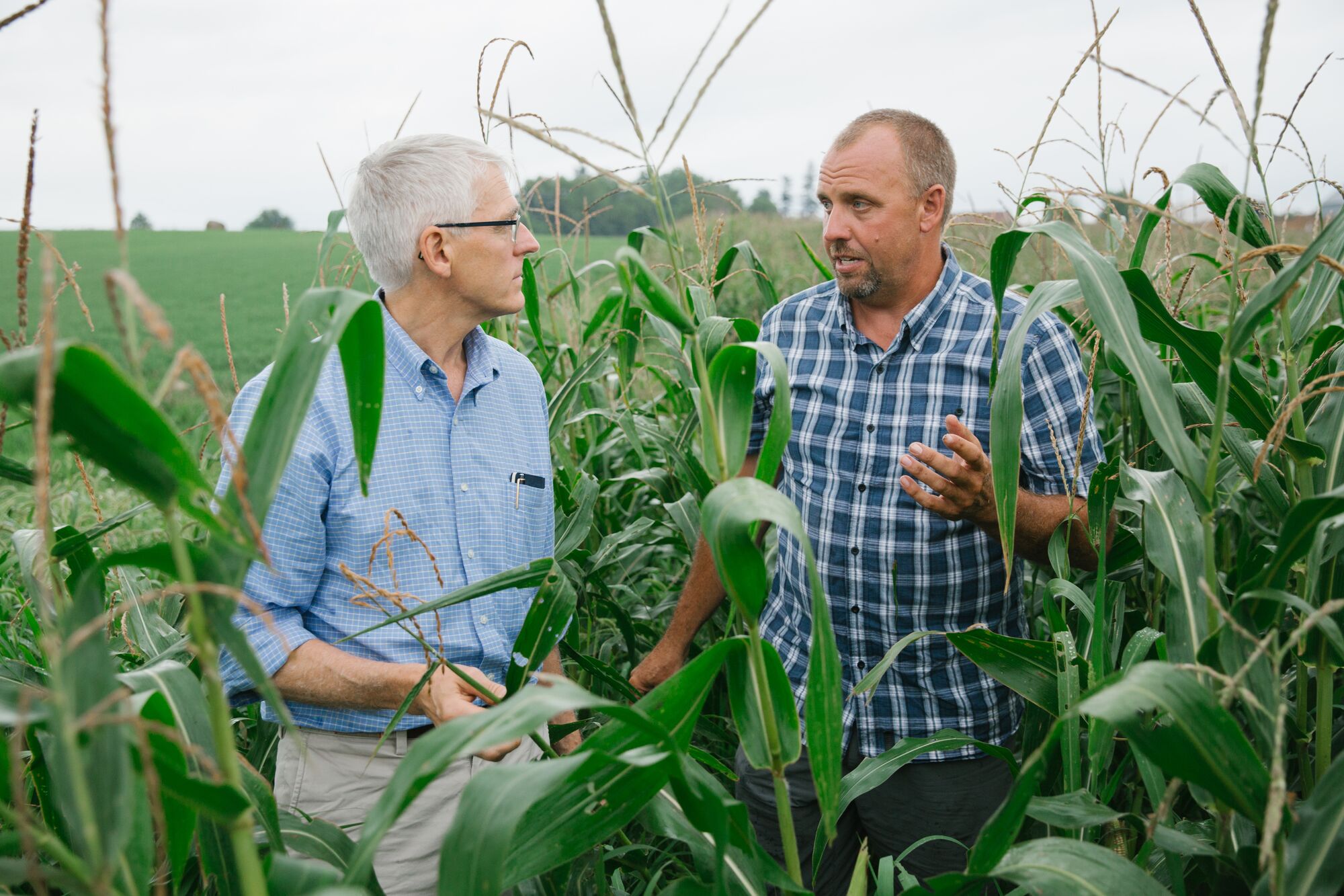 Peter Lehner, left, and Seth Watkins discuss farming practices on Watkins' farm near Clarinda in southwest Iowa.