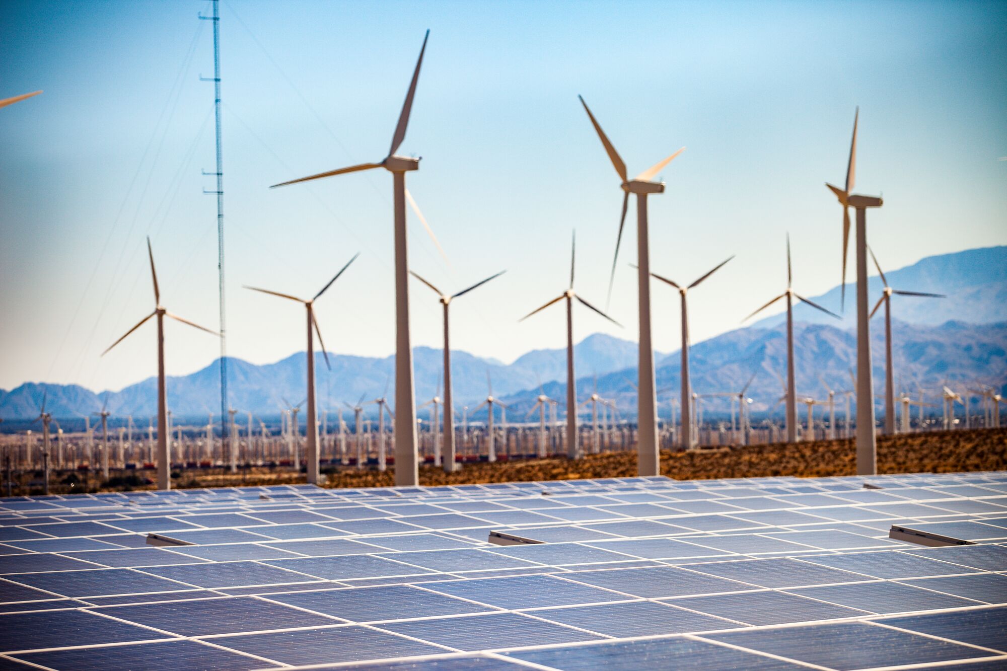 Field of solar panels and windmills in the desert near Palm Springs, CA. (Adam Kazmierski / Getty Images)