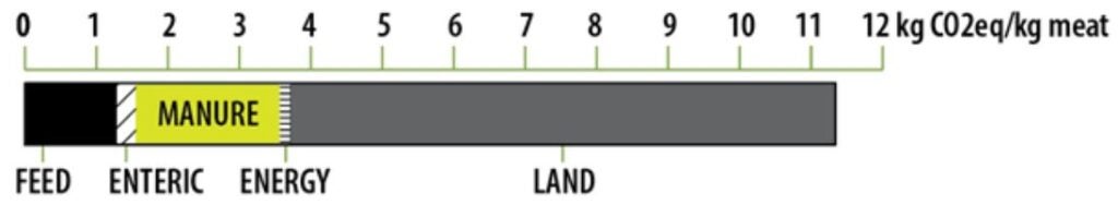 Average life cycle GHG emissions for pork production in the United States.