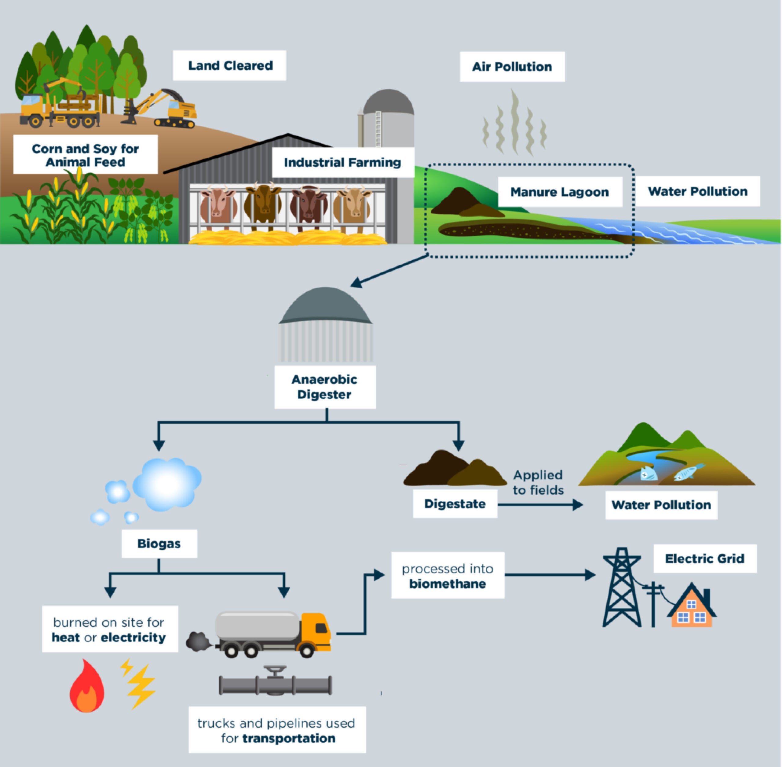 Chloe Waterman & Molly Armus, Biogas or Bull****? The Deceptive Promise of Manure Biogas as a Methane Solution (2024).