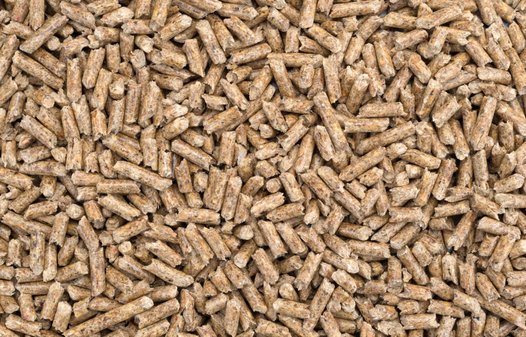 Top view of a group of wood pellets for heating.