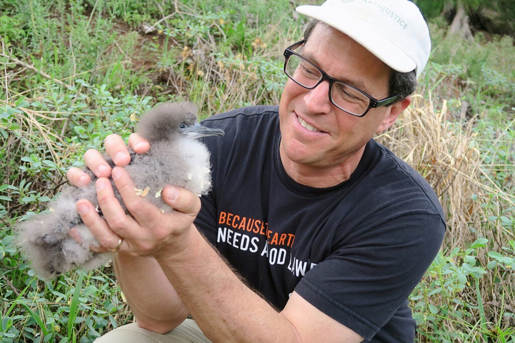 A man in an Earthjustice shirt and hat holds a small gray, fluffy bird, looking at it and smiling.