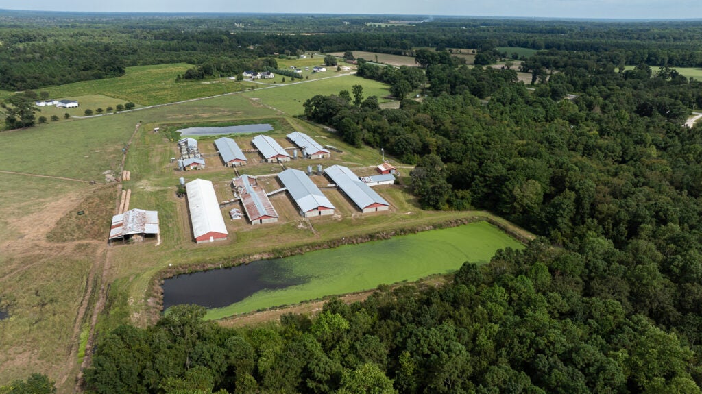 An aerial photo of a rural landscape with large shelters for animals and an even larger rectangle lagoon in the foreground.