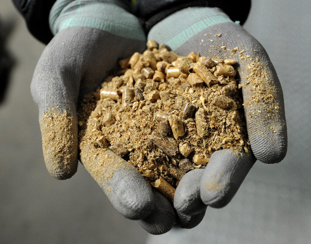 A close up photo of hands holding small wood pellets and sawdust.