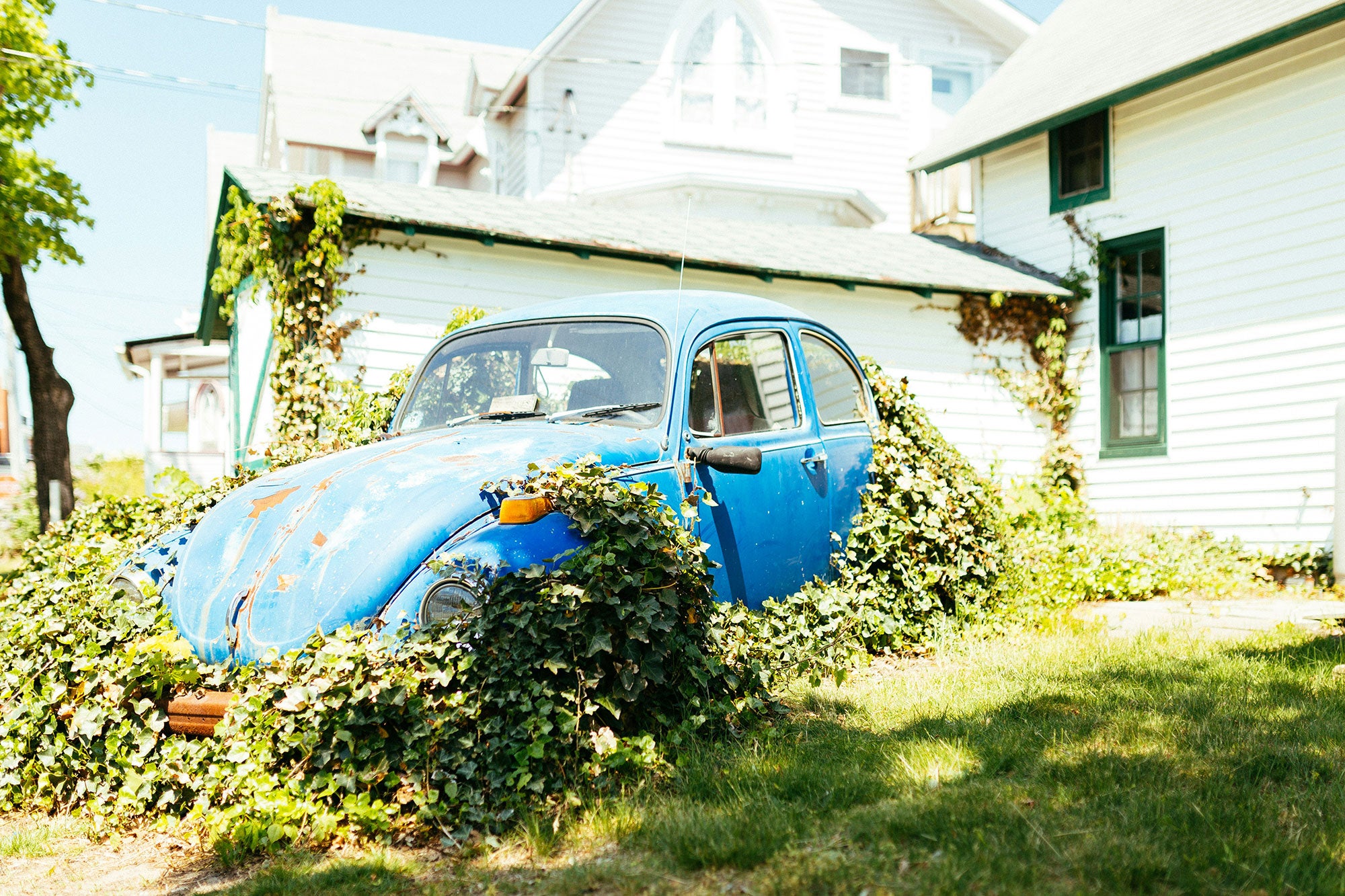 A blue Volkswagen Beetle sits covered in green vines outside of a home.