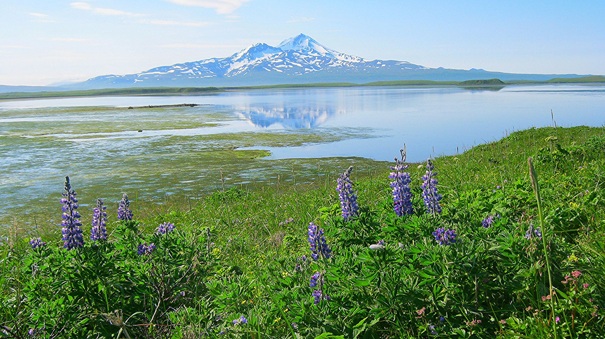 Mt. Frosty, a volcano, seen from Grant Point in the Izembek National Wildlife Refuge, Alaska.