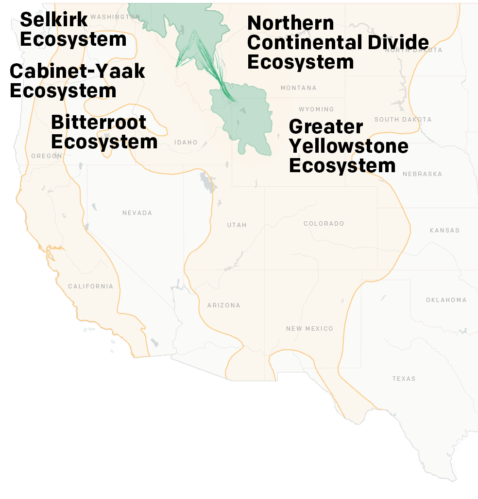 Map showing potential connectivity between grizzly populates in the Northern Continental Divide Ecosystem and Greater Yellowstone Ecosystem, and the Northern Continental Divide Ecosystem and Bitterroot Ecosystem.