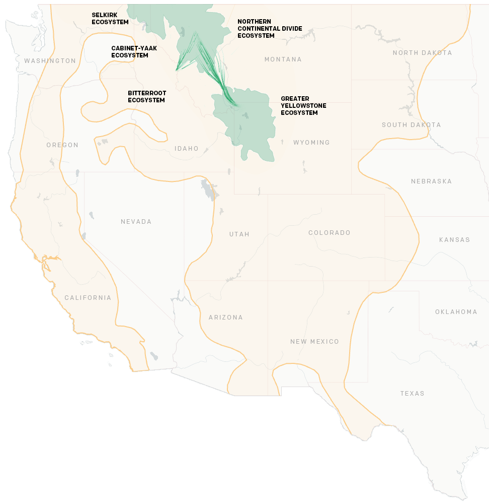 Map showing potential connectivity between grizzly populates in the Northern Continental Divide Ecosystem and Greater Yellowstone Ecosystem, and the Northern Continental Divide Ecosystem and Bitterroot Ecosystem.