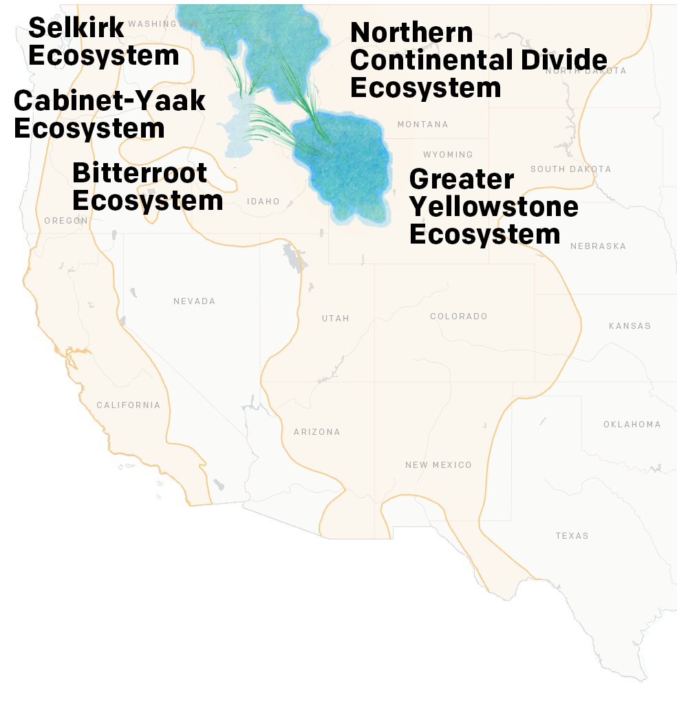 Map showing connectivity between grizzly populations and current grizzly range expanding.