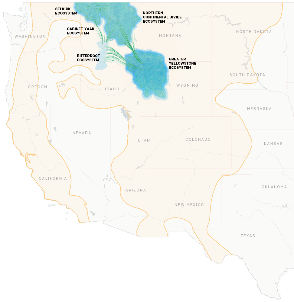 Map showing connectivity between grizzly populations and current grizzly range expanding.