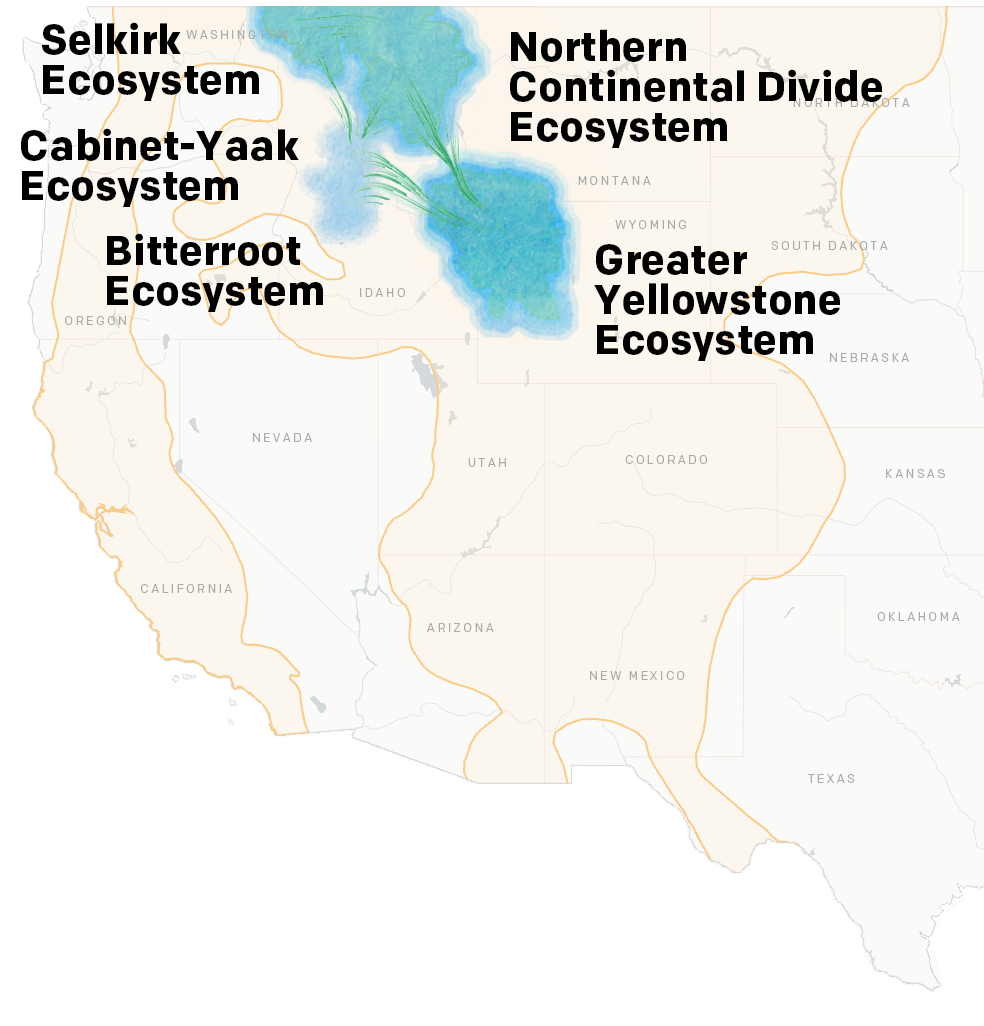 Map showing connectivity between grizzly populations and current grizzly range expanding.