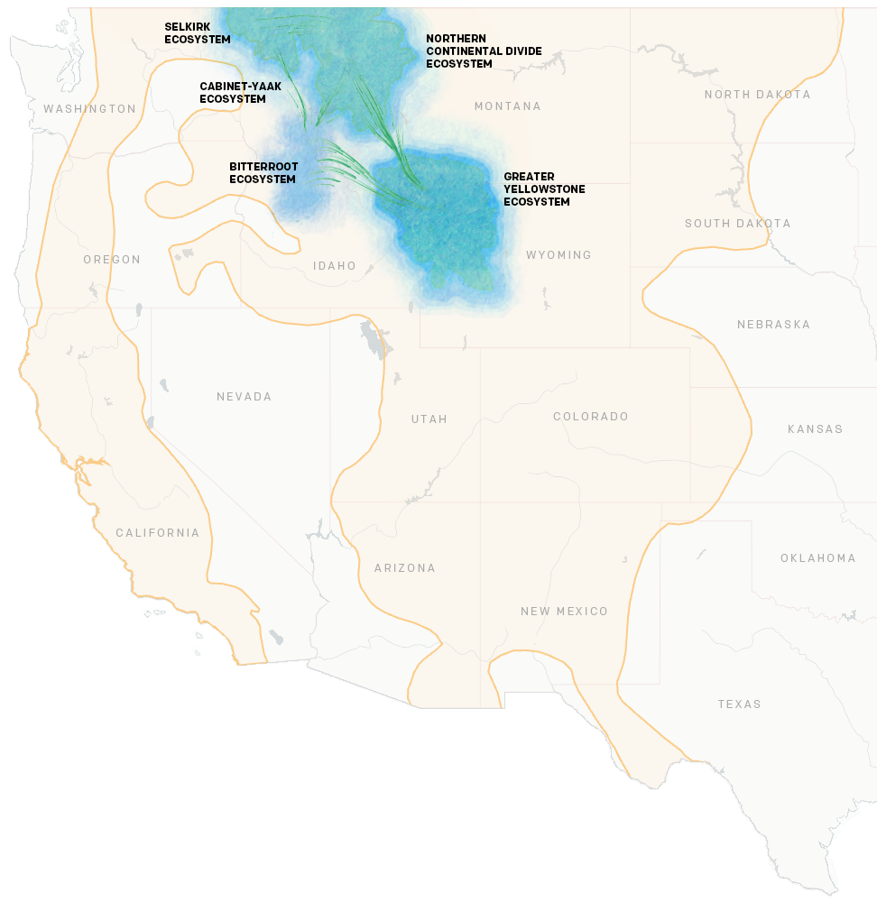 Map showing connectivity between grizzly populations and current grizzly range expanding.