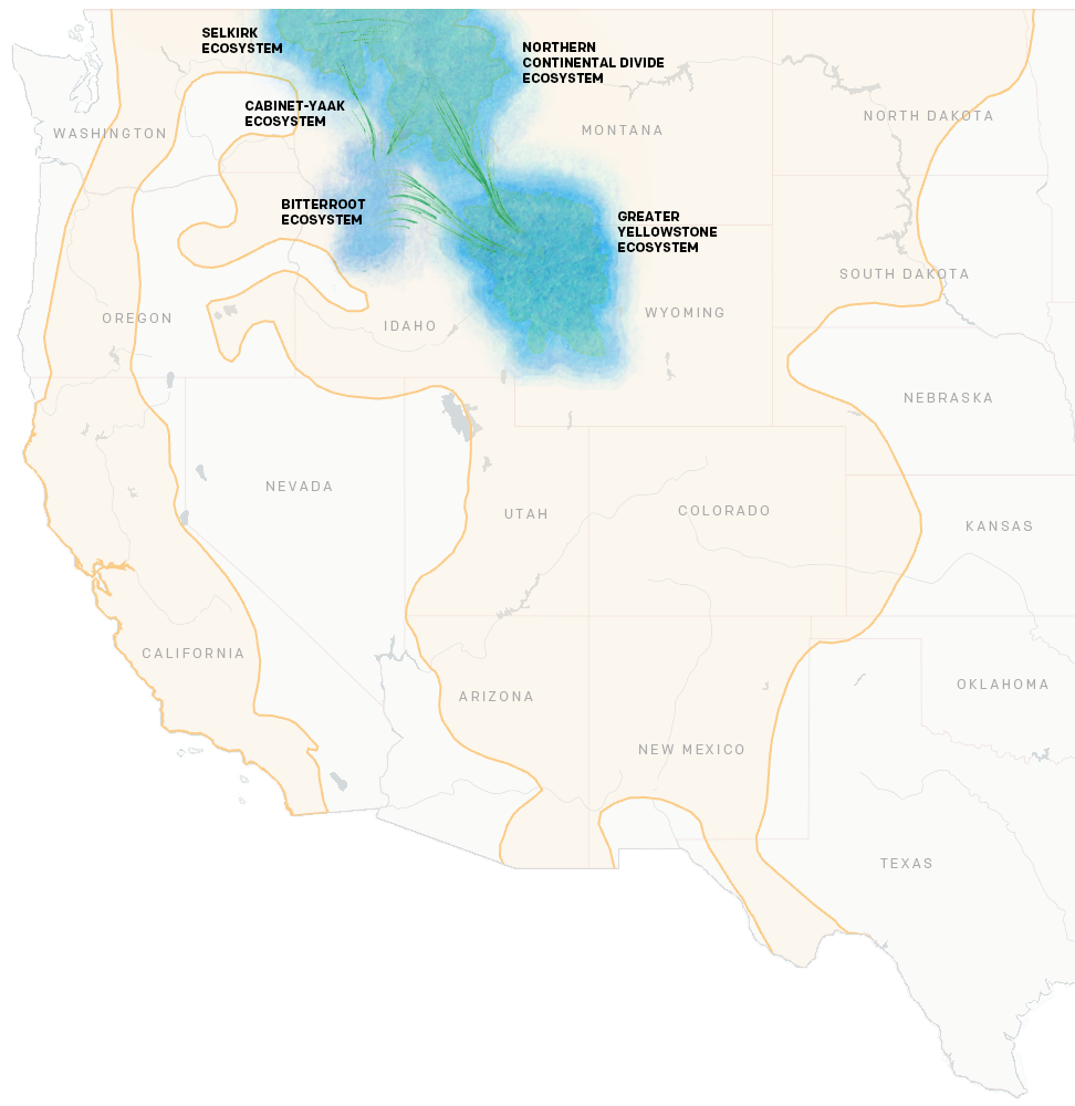 Map showing connectivity between grizzly populations and the five isolated recovery zones connected.