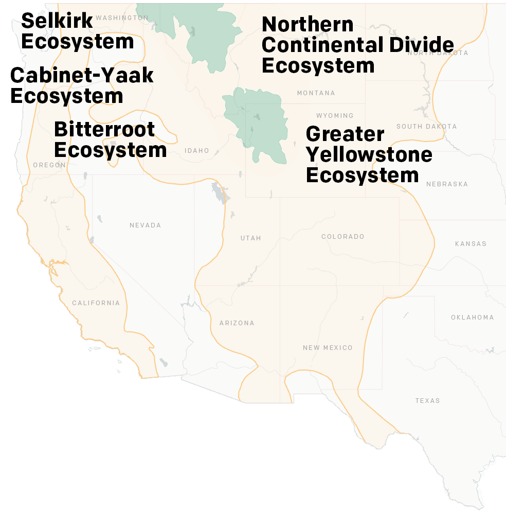 Map of current occupied range of grizzly bear. The current range includes two isolated populations in a slightly larger area of Idaho, Montana, and Wyoming, compared to 1975.