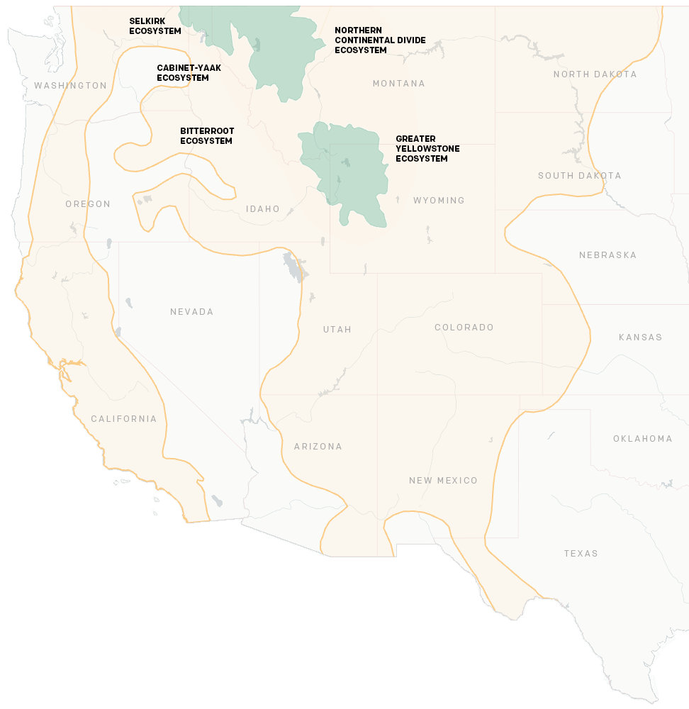 Map of current occupied range of grizzly bear. The current range includes two isolated populations in a slightly larger area of Idaho, Montana, and Wyoming, compared to 1975.