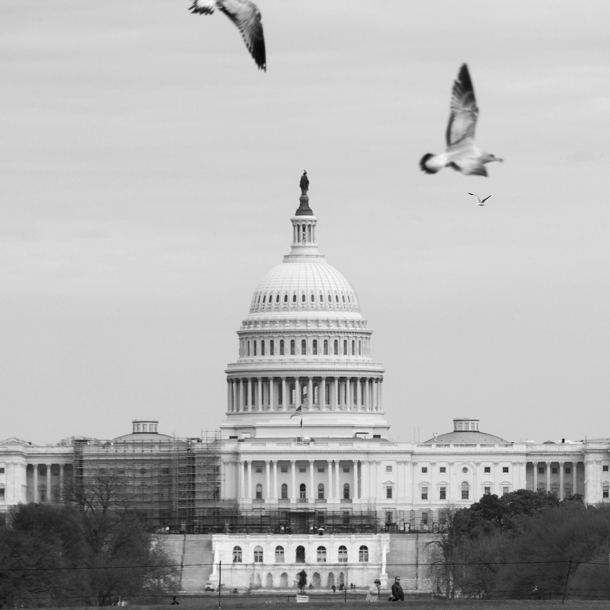 The U.S. Capitol Building.