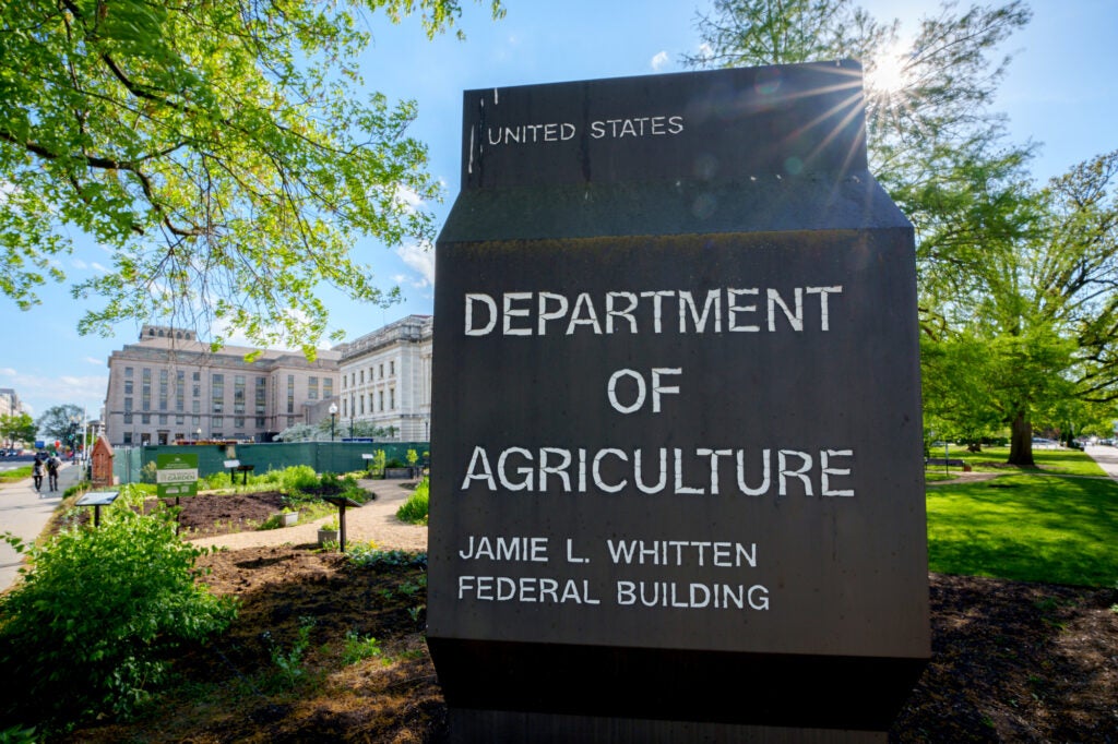 The sun flares over the top of a sign in the foreground that reads "United States Department of Agriculture, Jamie L. Whitten Federal Building. In the background is a garden and a large stone office building.