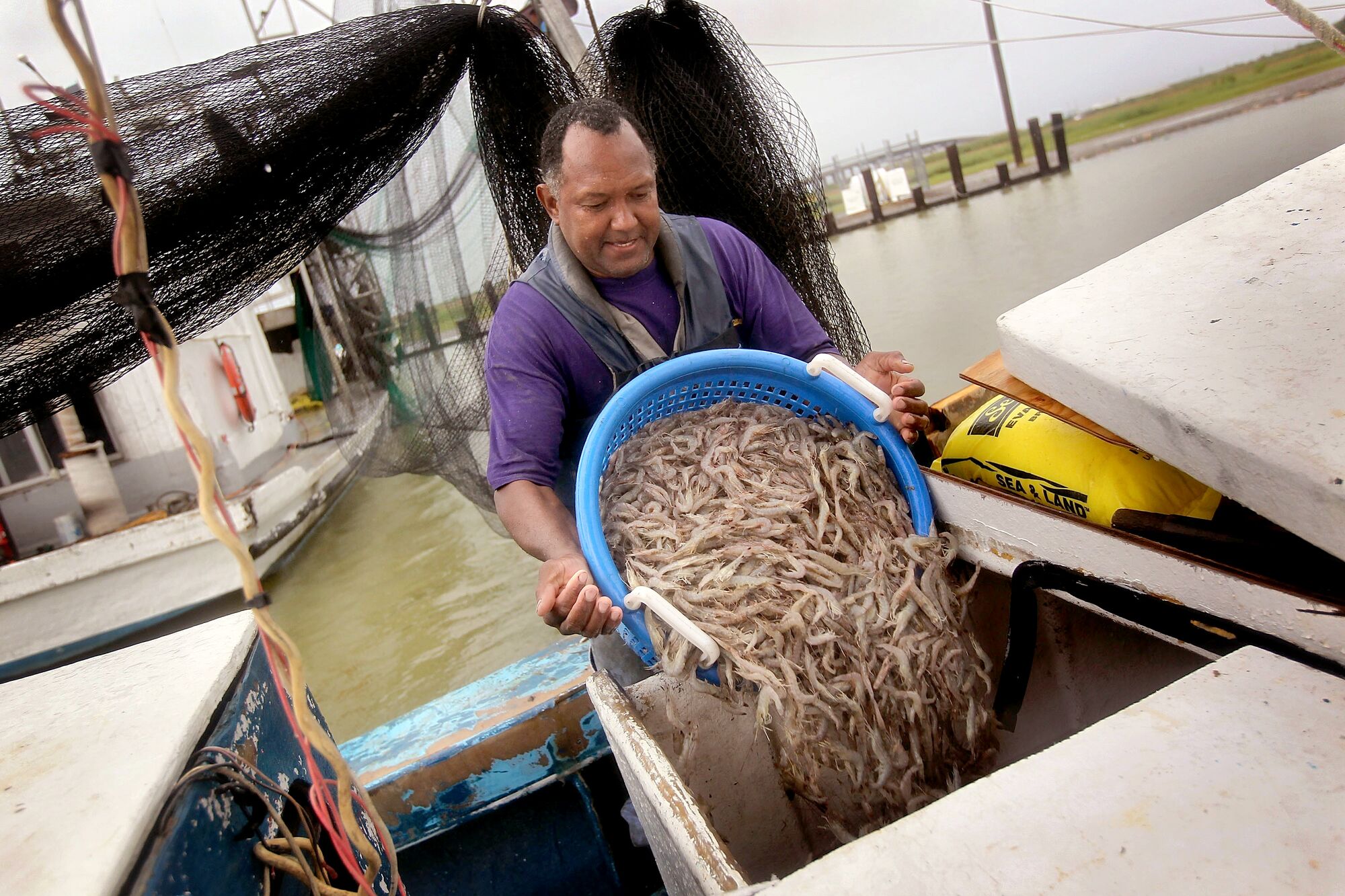 Commercial fisherman Kevin Merrick dumps shrimp into an ice chest after a morning of shrimping on May 16, 2010 in Buras, Louisiana. In a major step toward containing a massive Gulf of Mexico oil leak, BP said a mile-long tube was funneling crude Sunday from the blown Deepwater Horizon well to a tanker ship on the surface of the Gulf of Mexico.