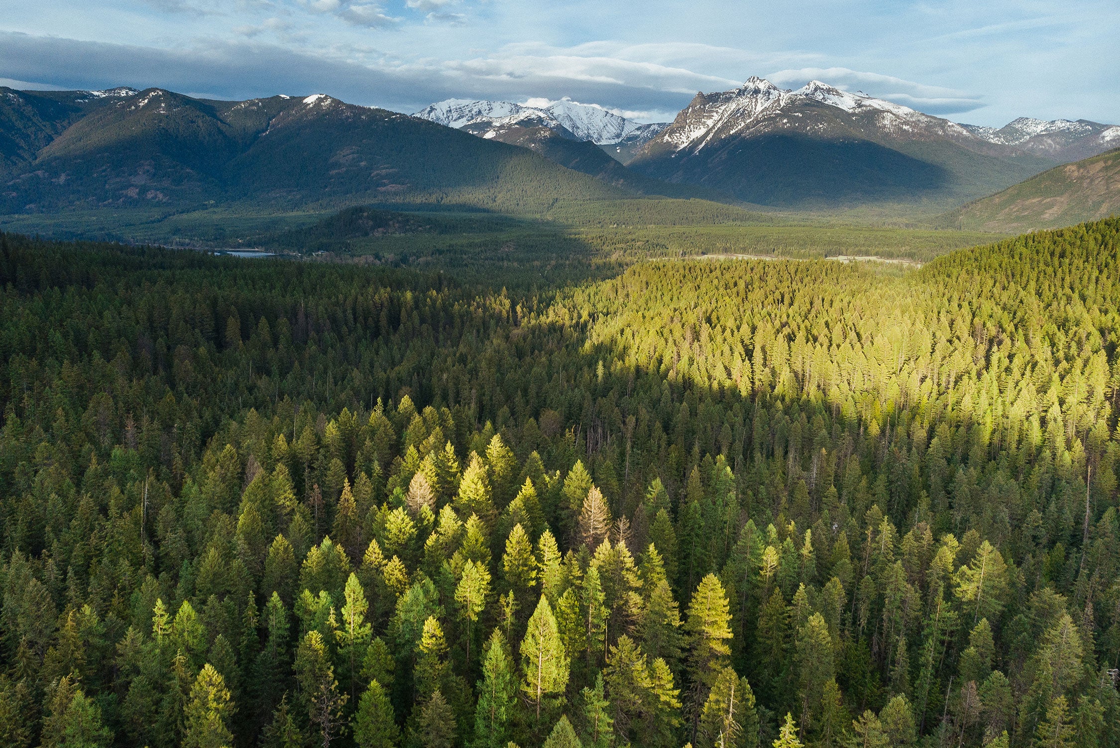 Cabinet-Mountains_2250x1503 Aerial view of trees with snowcapped mountains in the background.