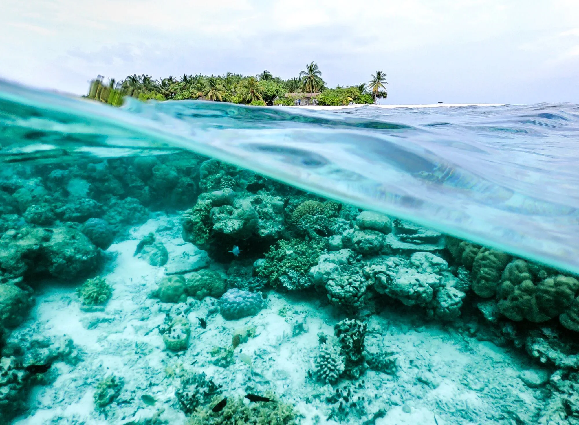 default_web_use-veracruzreef Esta imagen ilustra un arrecife e isla frente a la costa de Veracruz, México. (Cesar Morales / Getty Images)