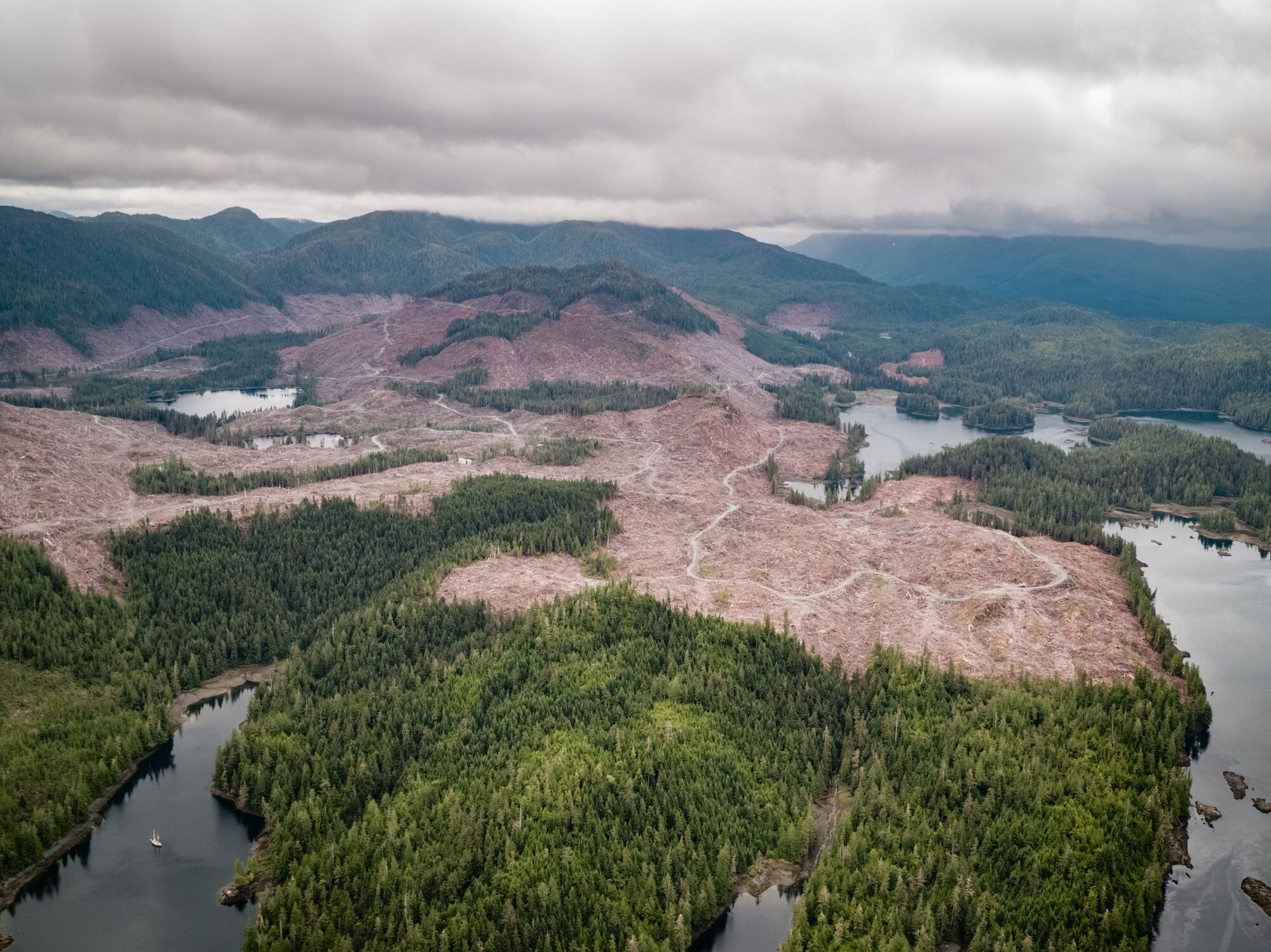 tongass-logging_colin-arisman Aerial view of logging in the Tongass National Forest.