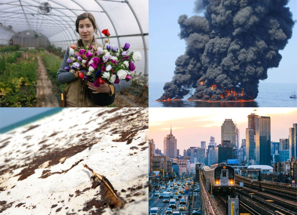 Clockwise from top left: Laura Beth Resnick of Butterbee Farm. (Alyssa Schukar for Earthjustice) Controlled burn during BP Deepwater Horizon disaster in 2010. (Petty Officer First Class John Masson / U.S. Coast Guard) Subway train on the 7 line in Queens, New York City. (Marco Bottigelli / Getty Images) An oil-coated feather on a Florida beach in 2010, following the BP Deepwater Horizon explosion and oil spill. (Tech. Sgt. Emily F. Alley / U.S. Air Force)