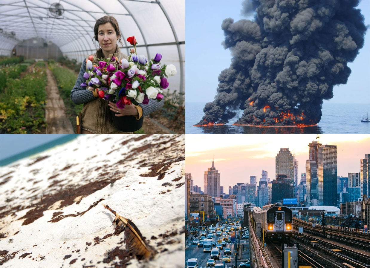 A grid of four photos: Laura Beth Resnick of Butterbee Farm. Controlled burn during BP Deepwater Horizon disaster in 2010. Subway train on the 7 line in Queens, New York City. An oil-coated feather on a Florida beach in 2010, following the BP Deepwater Horizon explosion and oil spill.