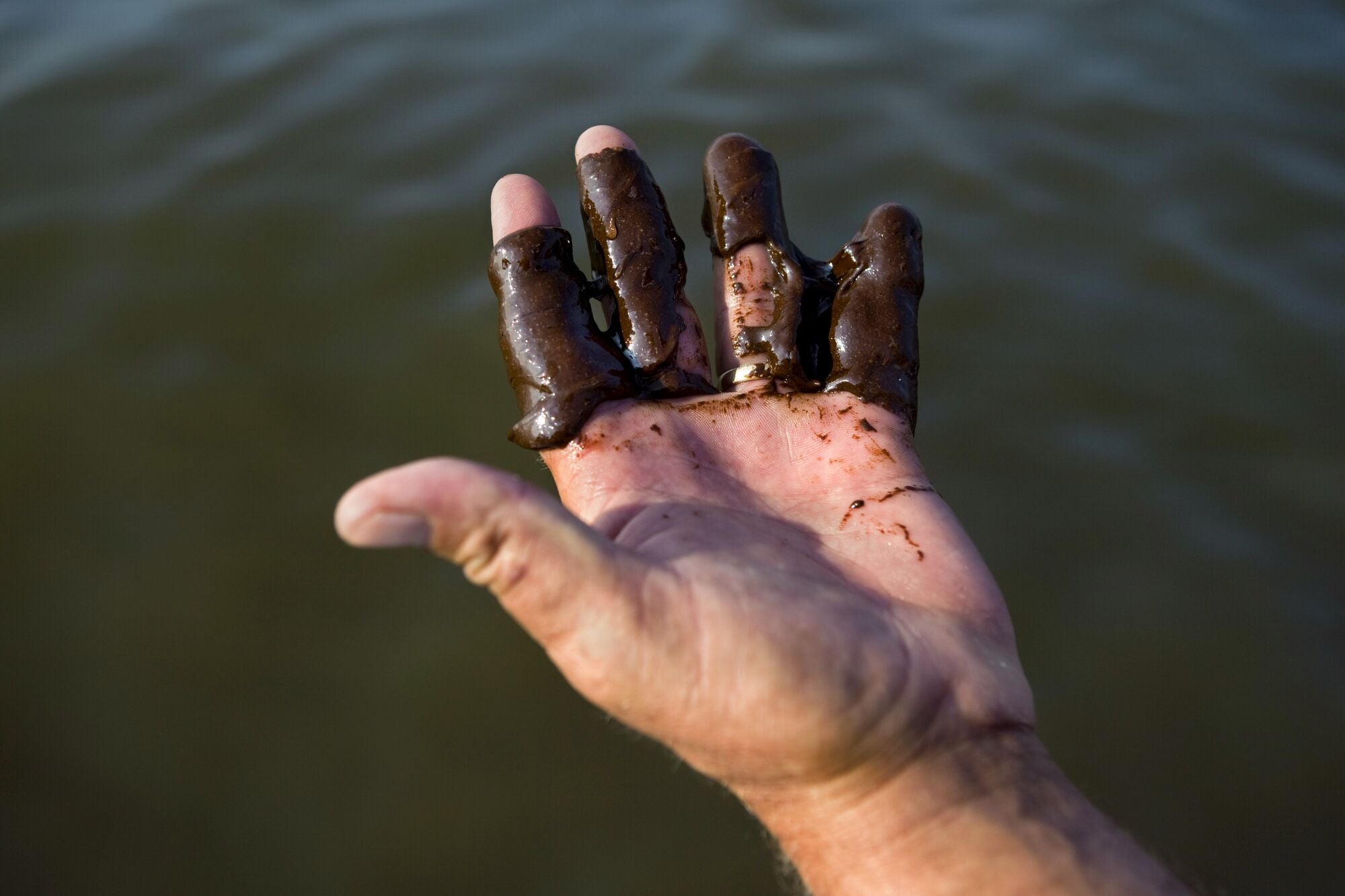 A close up photo of a hand with the fingers covered in thick brown oil. The background of the photo is dark green water.