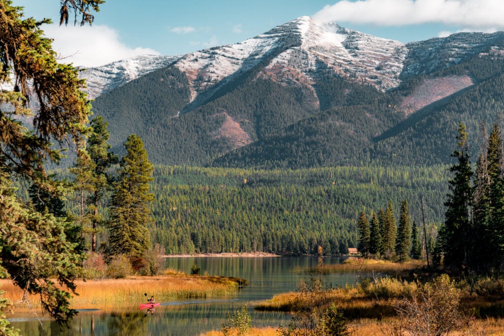 The 2.4 million acre Flathead National Forest in Montana, just south of the Canadian border. Home to lynx, grizzly bear, and bull trout; with numerous lakes, streams, and rivers to enjoy, the forest is the premier destination for visitors looking to experience natural landscapes of the American West. (Your Forests Your Future / U.S. Forest Service)