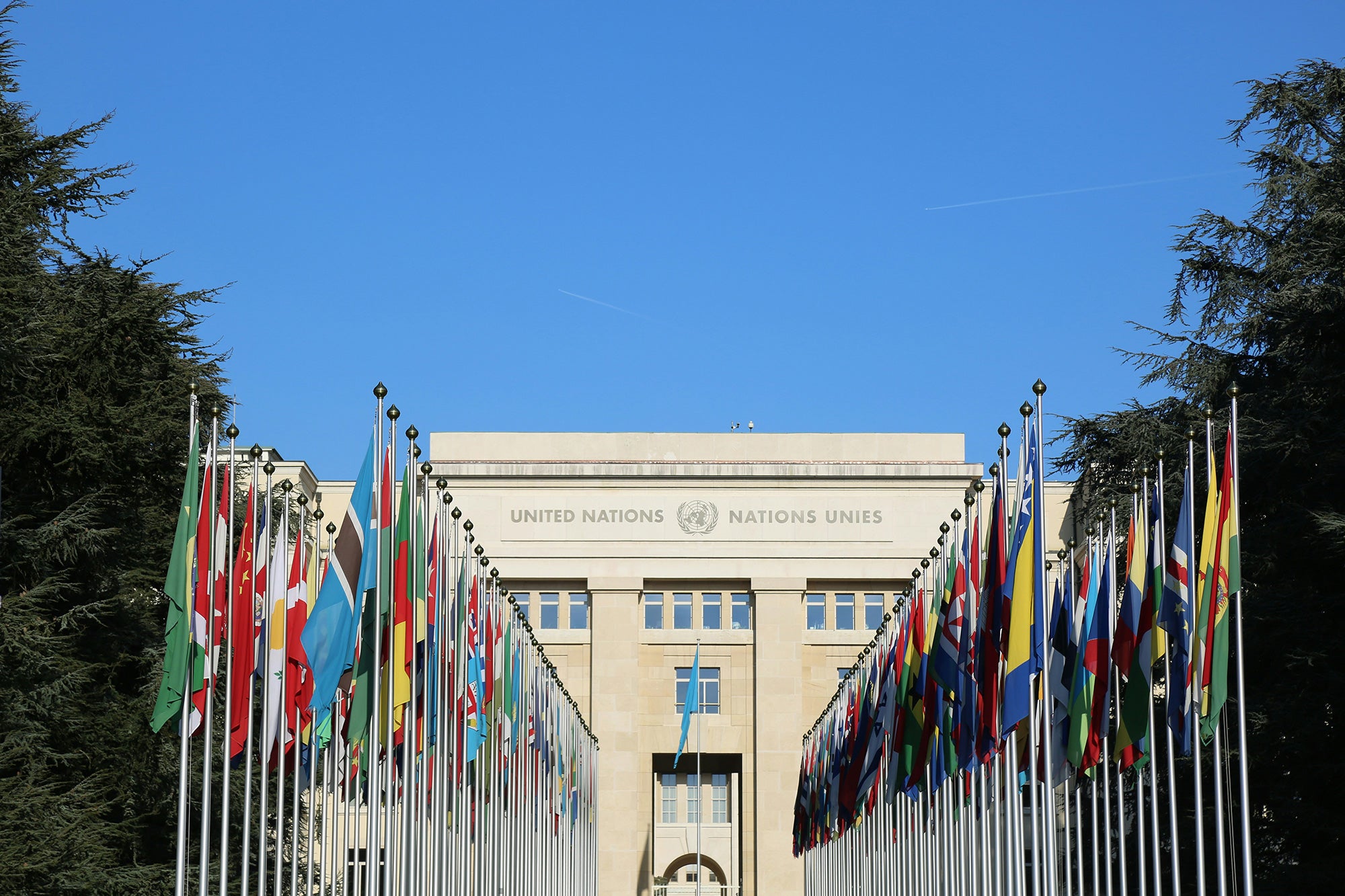 un_salya-t-unsplash The United Nations building with the flags of member countries flying out front.