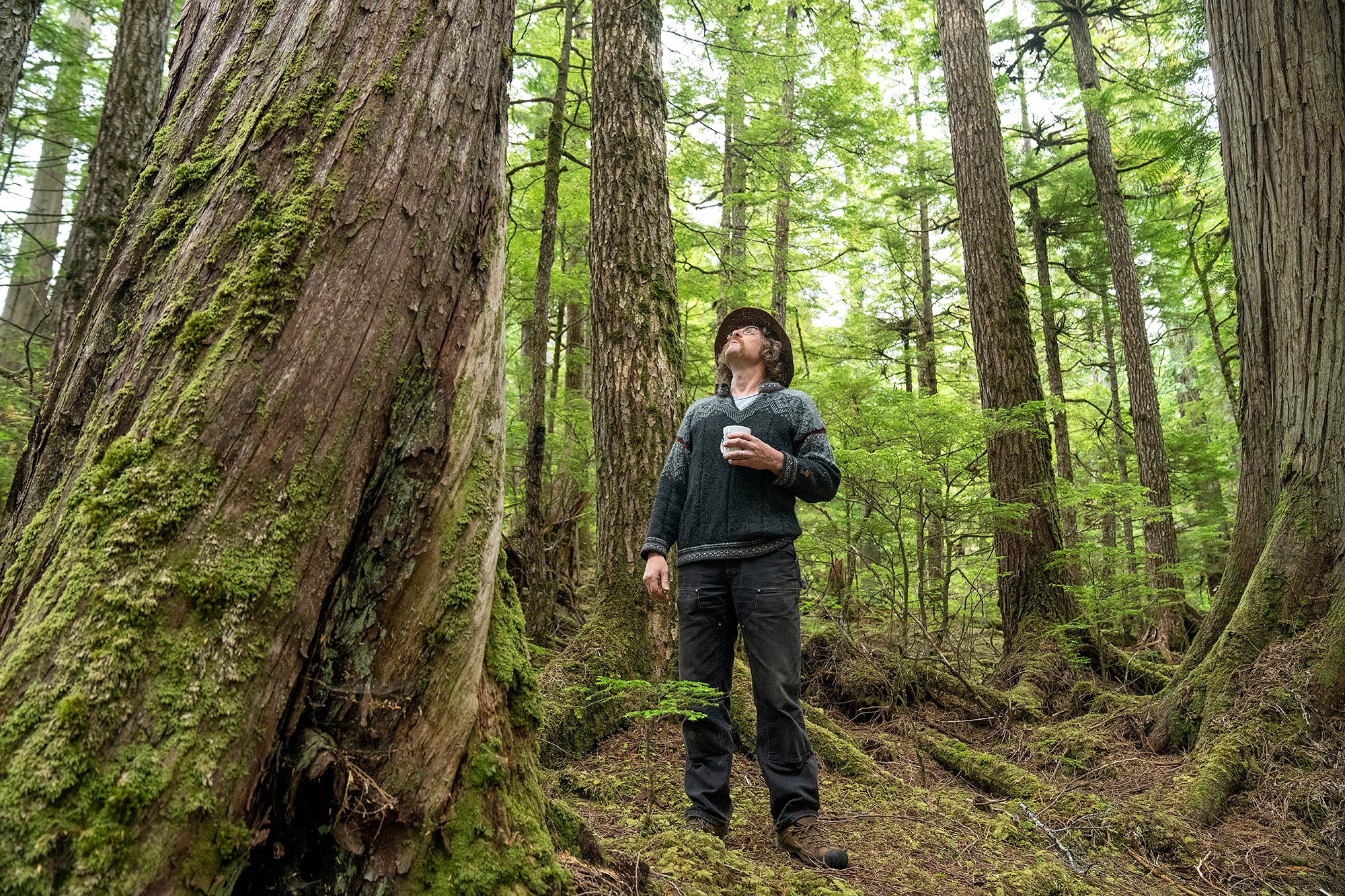 01 Tongass Kasaan A man wearing jeans and a sweatshirt holds a coffee mug in his hand and looks up at the large green trees that surround him.