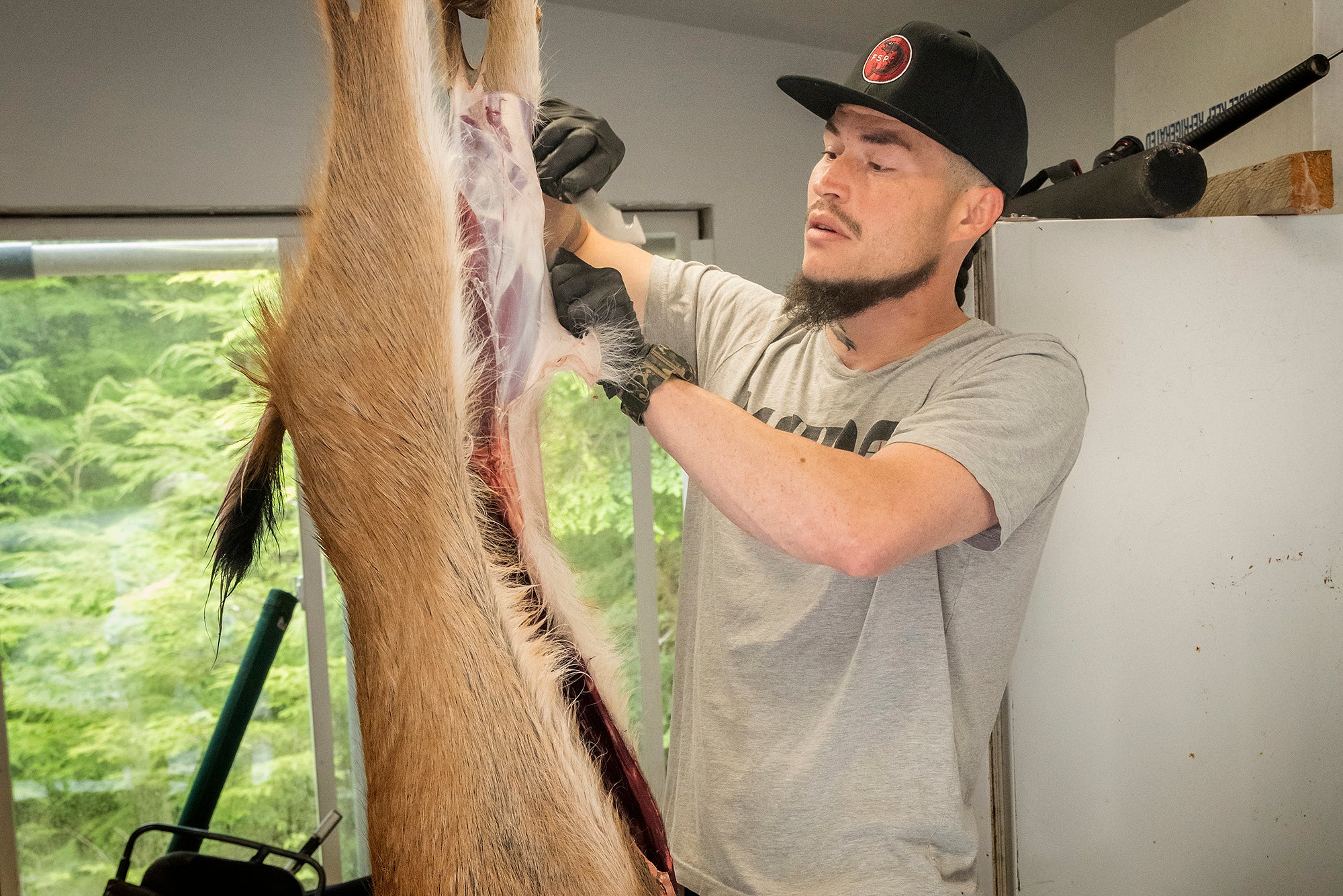 A man wearing a black ball cap and black latex gloves skins the haunch of a deer that is hanging upside down. The only the middle part of the deer is visible.