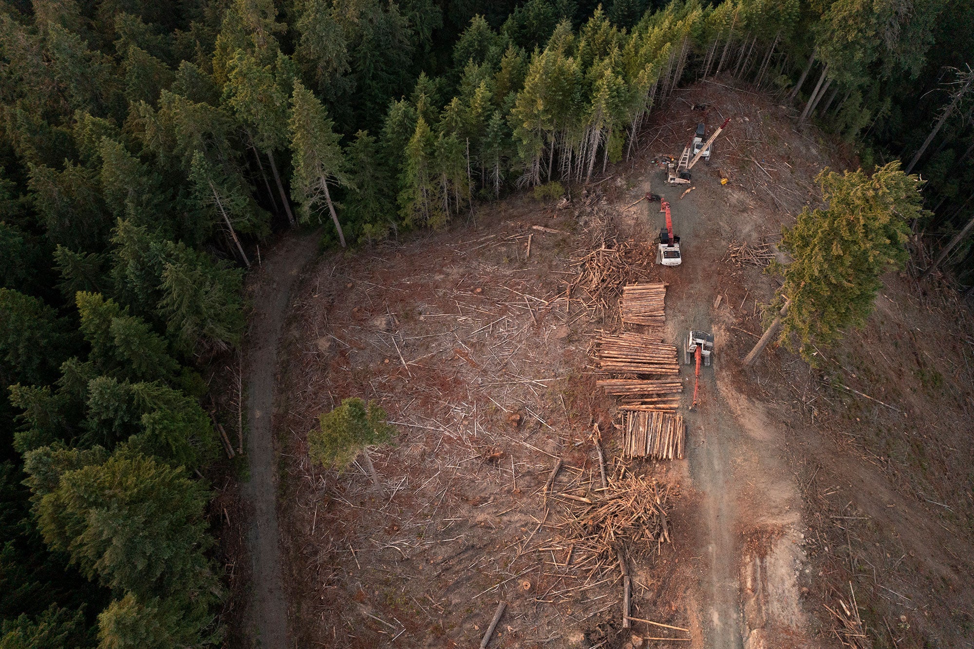Galagher Canyon Logging in Oregon Aerial view of the Galagher Canyon commercial logging operation in Oregon on July 6, 2025.