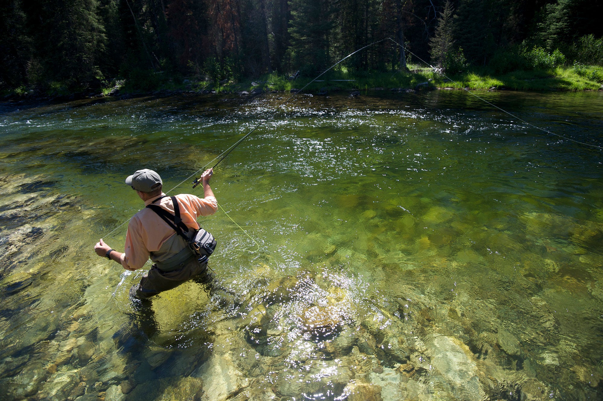 Fly fishing on the Middle Fork of Salmon River in Idaho's Frank Church-River of No Return Wilderness Area.