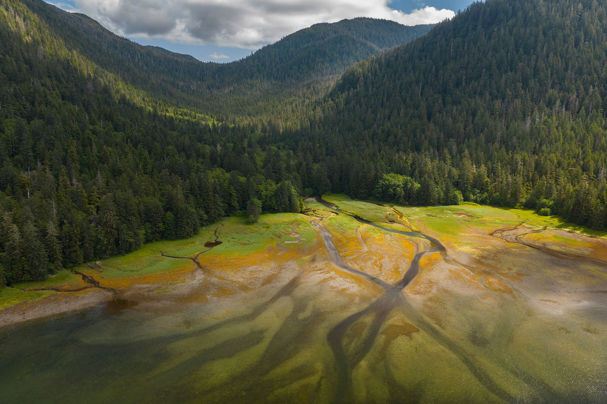 Tongass National Forest, Kuiu Island, Prince of Wales Island, Alaska. Tongass National Forest, Kuiu Island, Prince of Wales Island, Alaska.