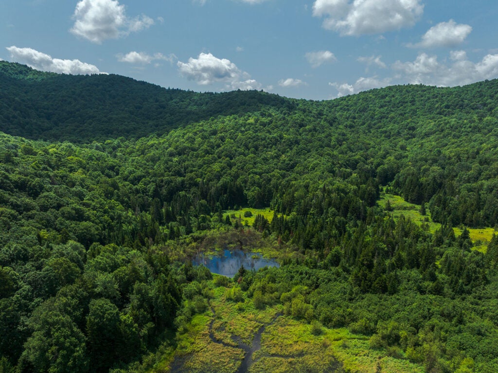 Aerial view of a beaver complex and Telephone Gap in Green Mountain National Forest, Vermont.