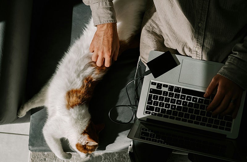 A man types on a laptop while a calico cat stretches next to him.