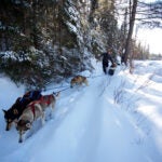 Three dogs on a line pull a sled through heavy snow in the Boundary Waters Canoe Area Wilderness as a person runs alongside the sled.