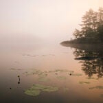 Twilight as a fog envelopes the Boundary Waters Canoe Area Wilderness.
