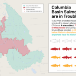 Map of the Columbia Basin, current anadromous area, and dams. The following text is overlayed on the map: Columbia Basin salmon are in trouble. 16 salmon and steelhead stocks historically returned to spawn above Bonneville Dam. Of these, 4 are extinct, 7 are endangered or threatened (including all remaining Snake River stocks), 4 others are also well below historic abundance, and only 1 is anywhere near its historical abundance.