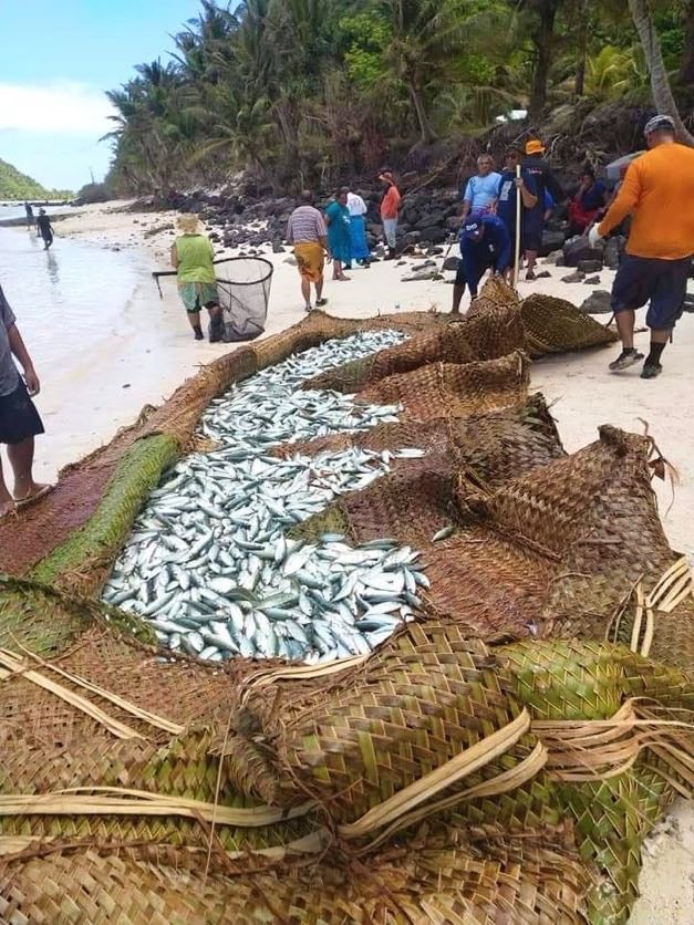 A large woven basket filled with white and silver fish sits on a beach with about a dozen people standing near it.