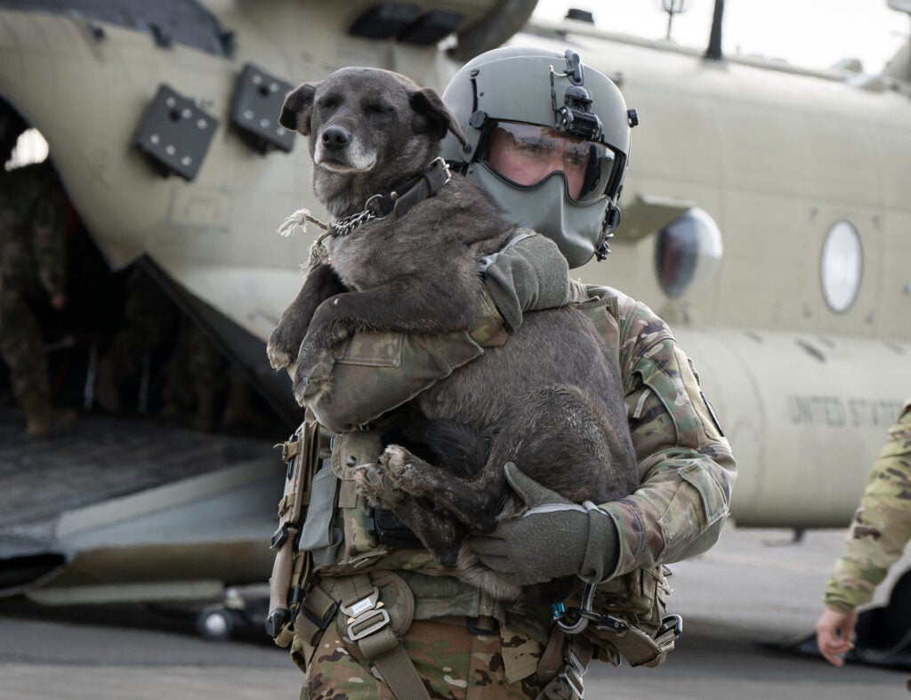 A member of the Alaska Air National Guard helps rescue a dog from Typhoon Halong in Alaska.