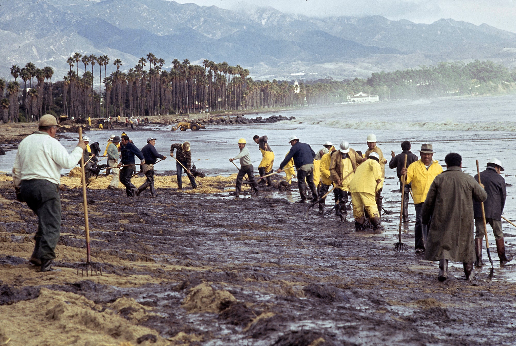 A group of men with pitchforks and hard hats clean up oil soaked straw on a beach with palm trees in the background.