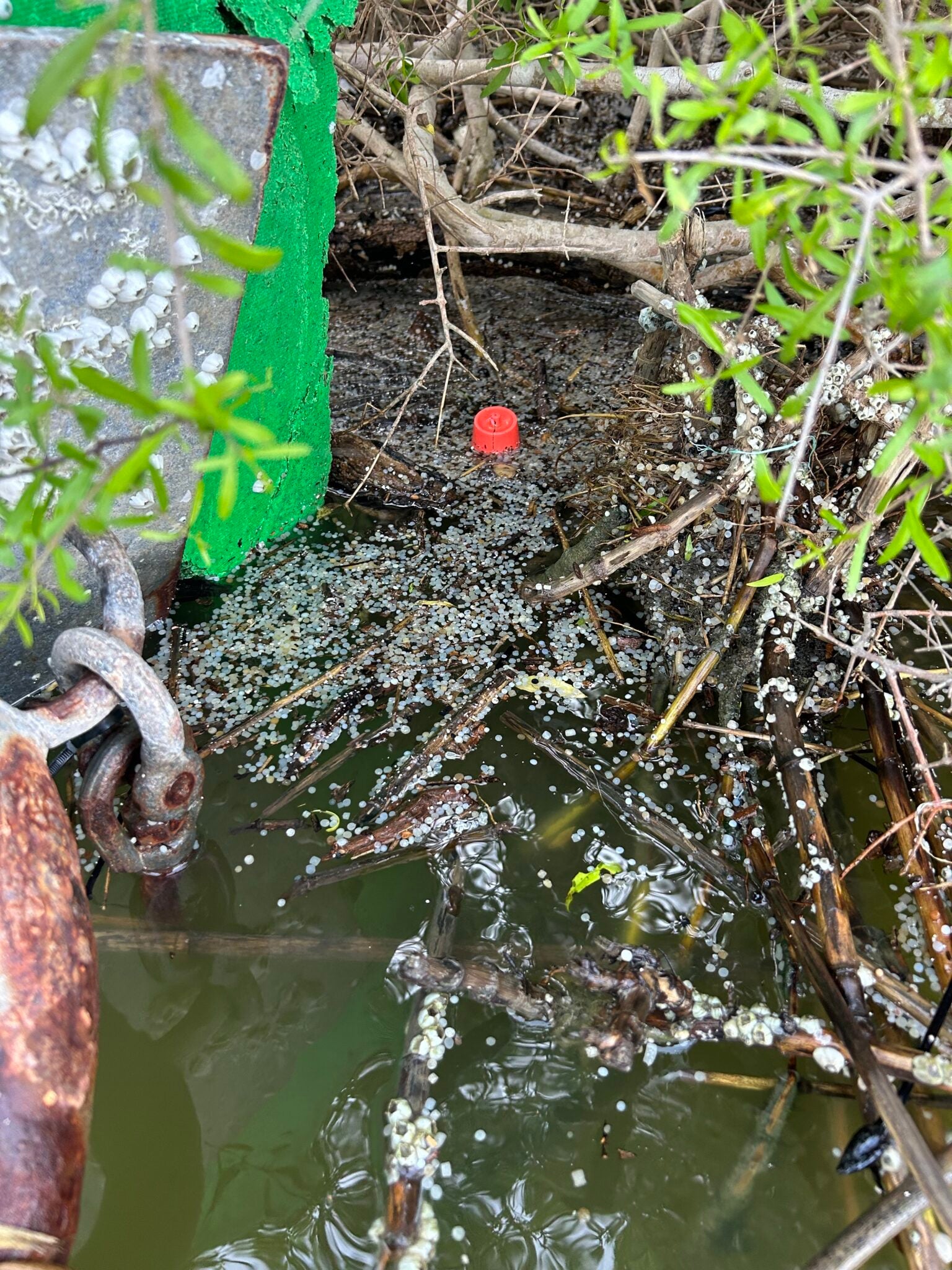 Texas Waterkeeper Issues Notice of Intent to Sue for Illegal Water ...