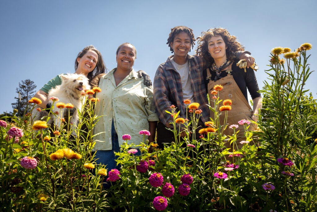 Four women smile for a portrait while standing among colorful flowers. One person is holding a white dog.