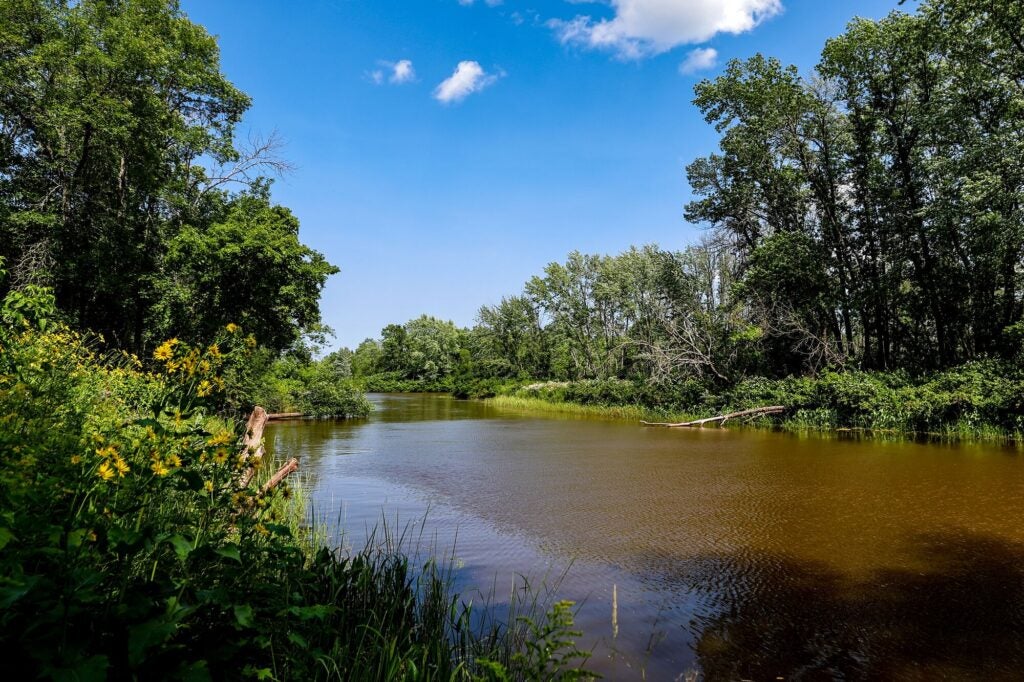 Default_Web_Use-Bad River Reservation August 12th, 2025: The White River as seen on the Bad River Reservation on August 12th, 2025. (Steven Garcia for Earthjustice)
