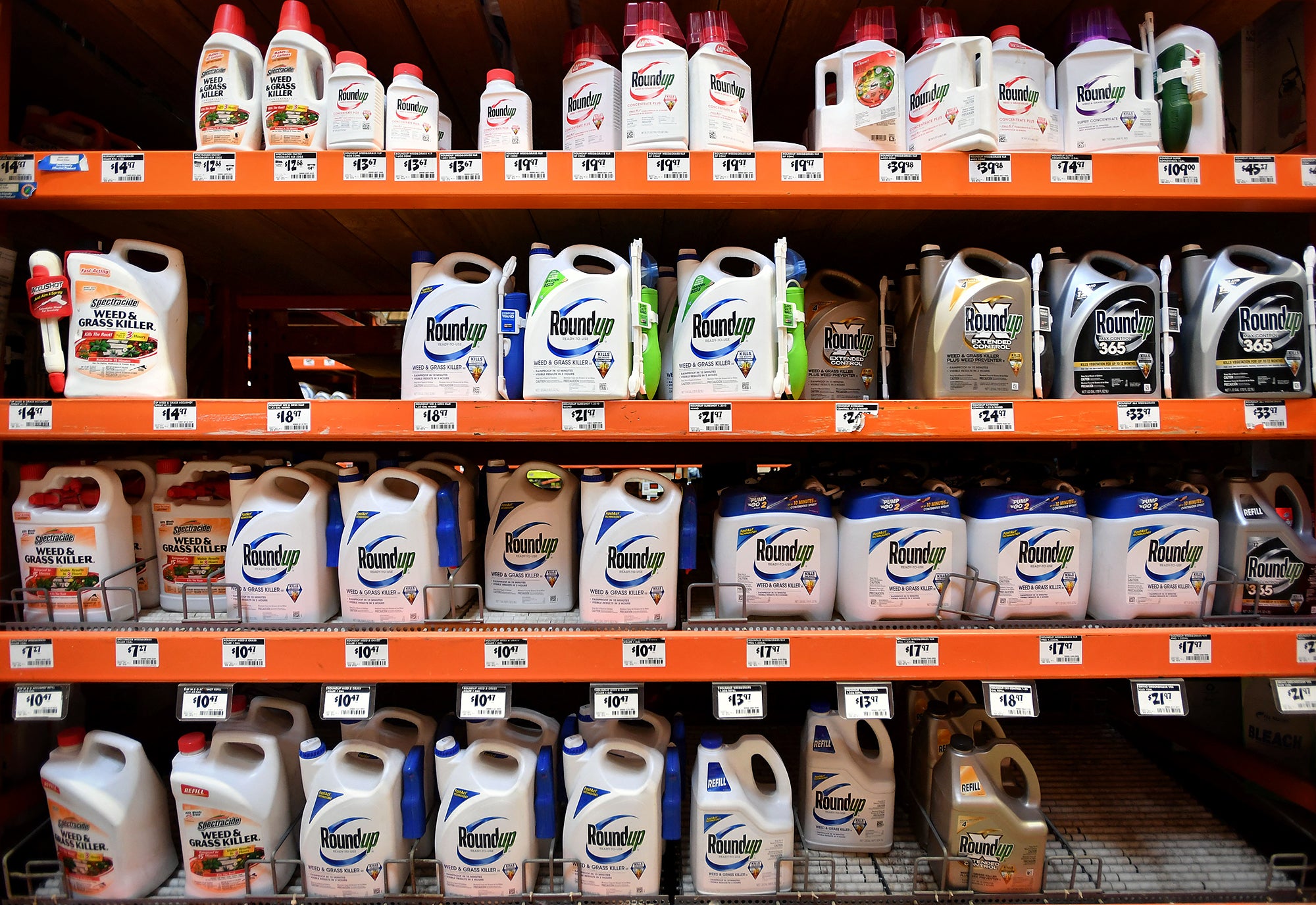 Bottles of Roundup and other brands of week killers fill up four rows of shelves in a hardware store.